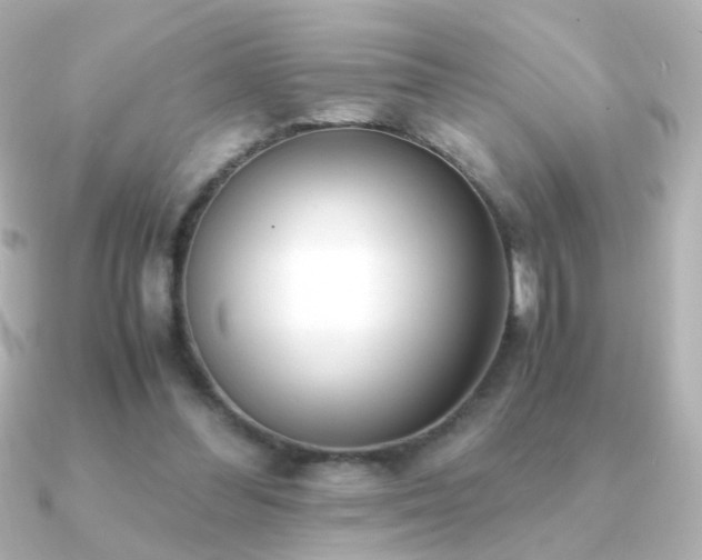 X0000091200300200708091312