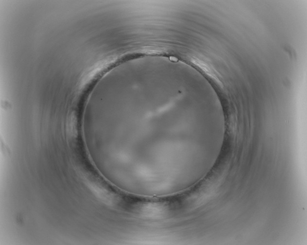 X0000091200303200708091312