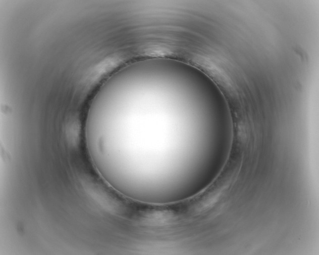 X0000091200304200708091312