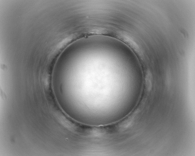 X0000091200305200708091312