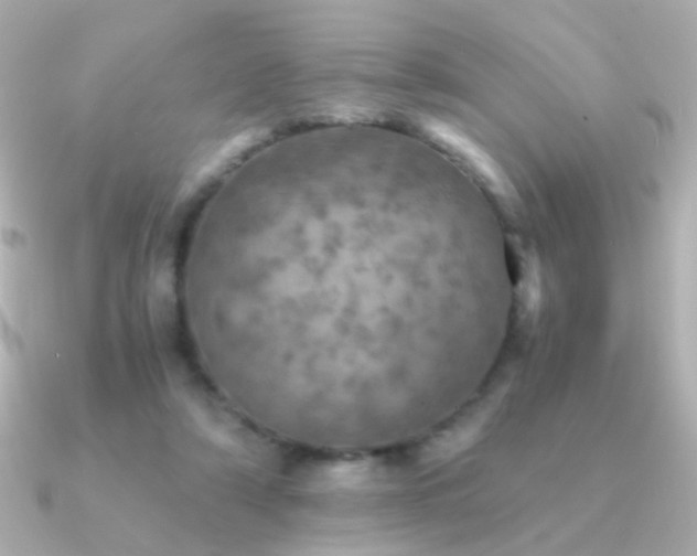 X0000091200306200708091312