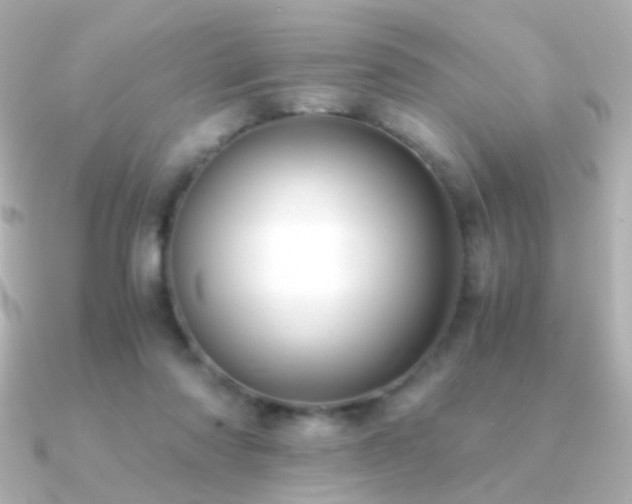 X0000091200310200708091312
