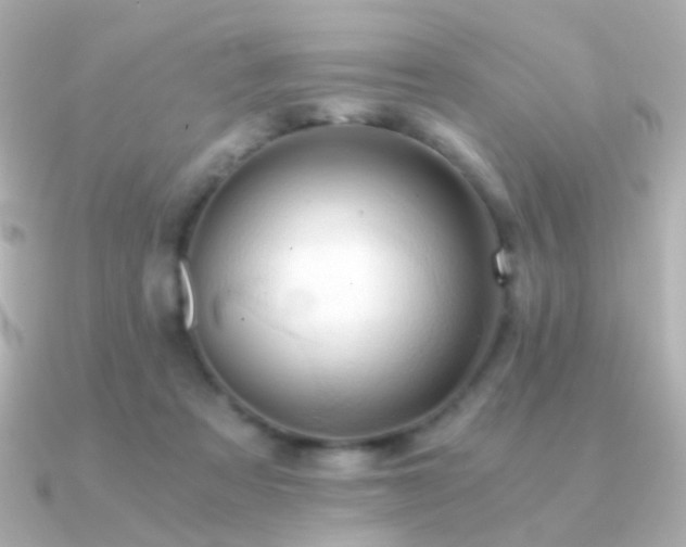 X0000091200313200708091312