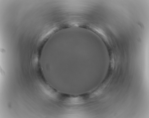 X0000091200314200708091311