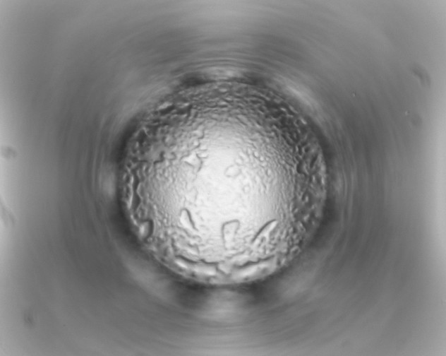 X0000091200315200708091311