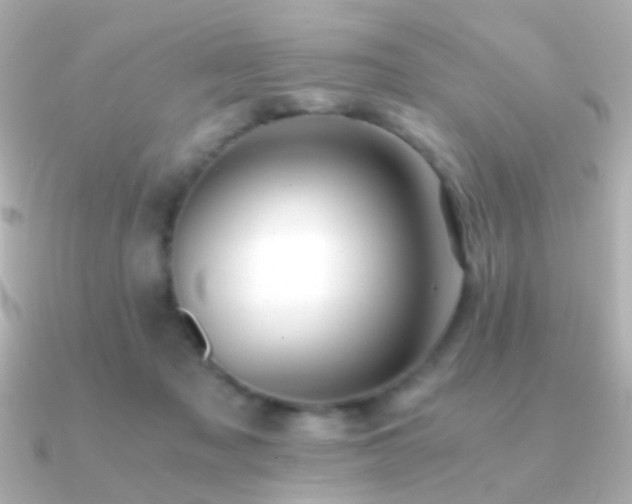 X0000091200317200708091311