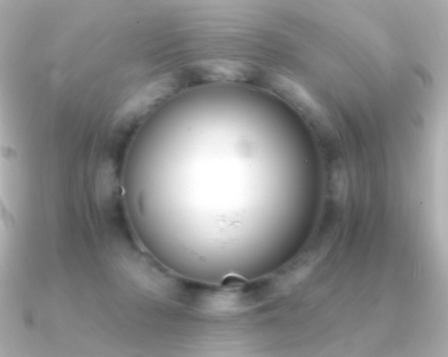 X0000091200318200708091311