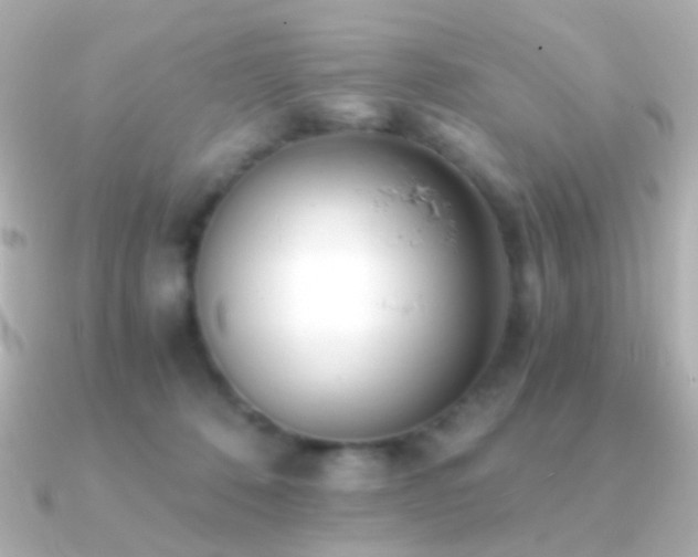 X0000091200320200708091311