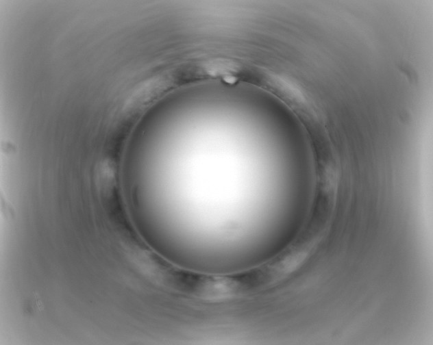 X0000091200321200708091311