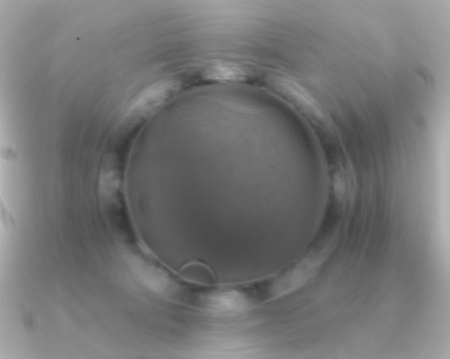 X0000091200322200708091311