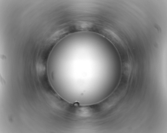 X0000091200324200708091311