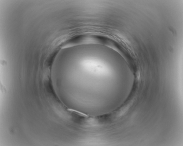 X0000091200325200708091311