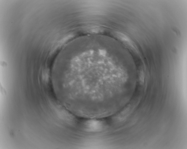 X0000091200326200708091311