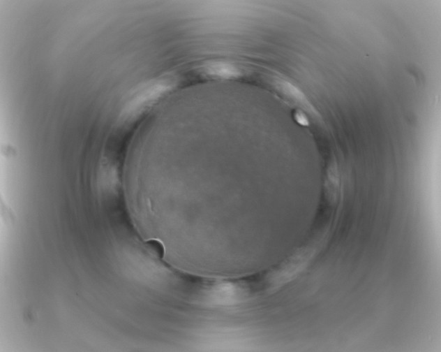 X0000091200330200708091311