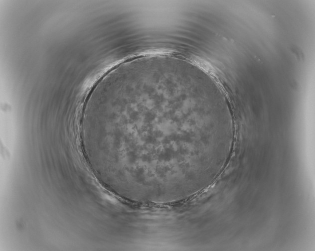 X0000091200337200708091311