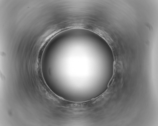 X0000091200338200708091311