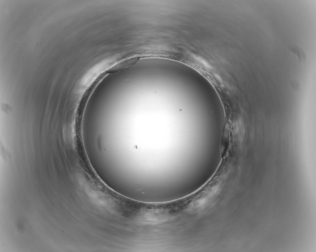 X0000091200340200708091311