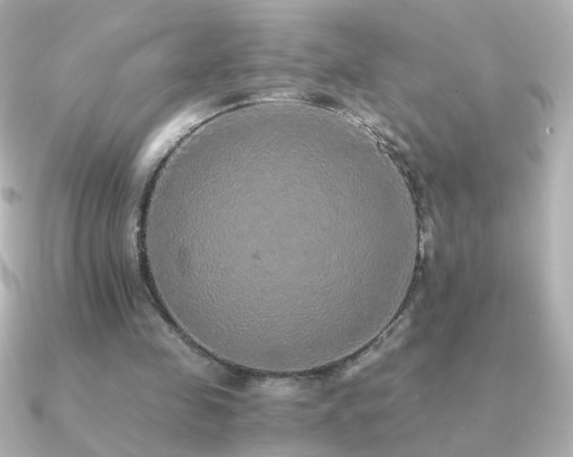 X0000091200341200708091311