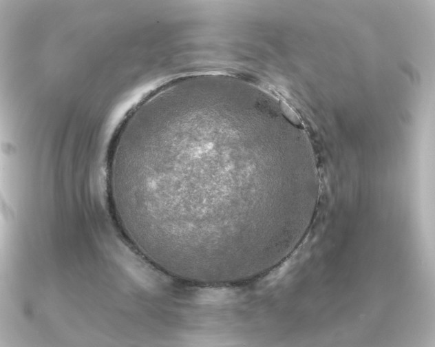 X0000091200342200708091311
