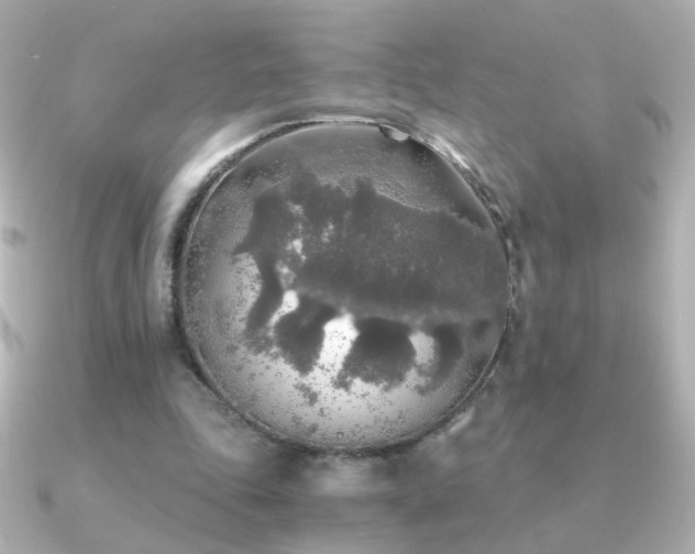 X0000091200343200708091311