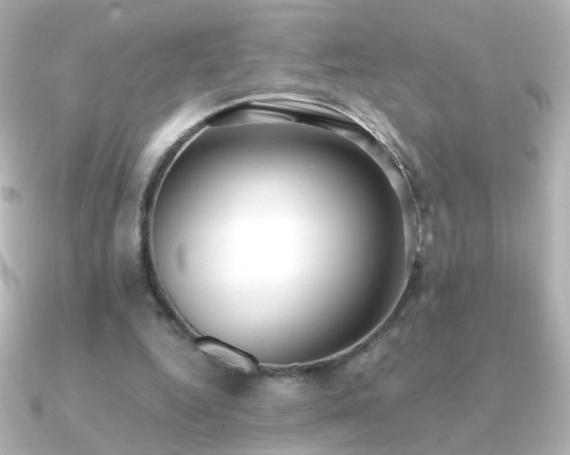 X0000091200344200708091311
