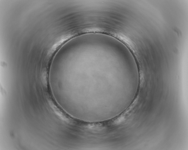 X0000091200345200708091311