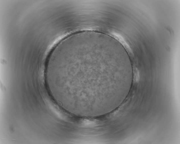 X0000091200346200708091311