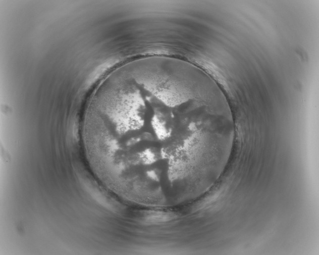 X0000091200347200708091311