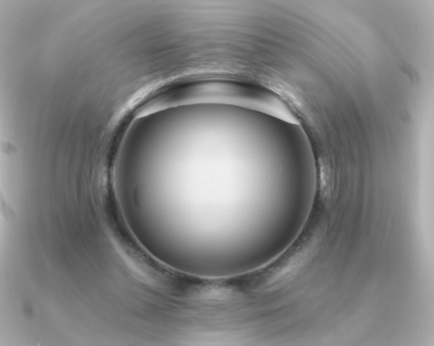 X0000091200348200708091311
