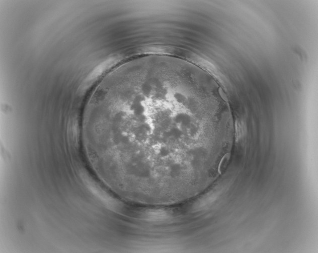 X0000091200349200708091311