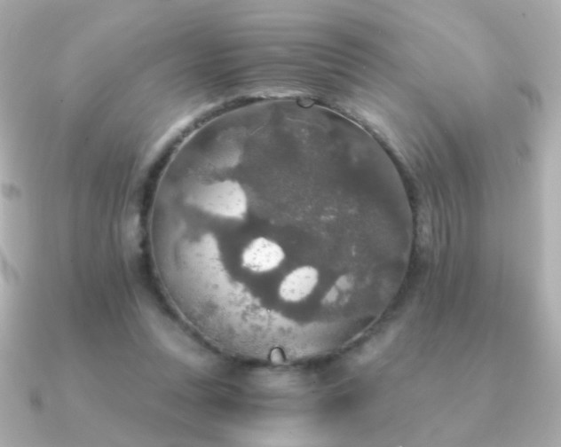 X0000091200351200708091311