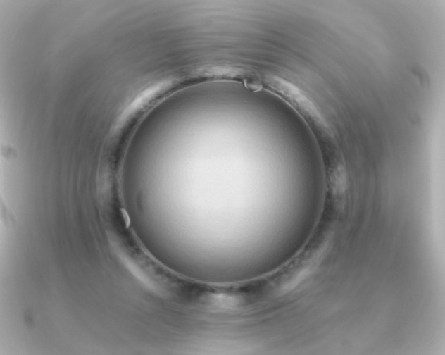 X0000091200352200708091311