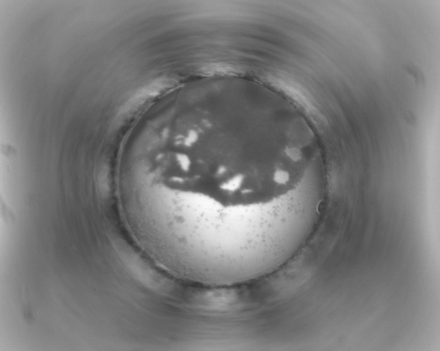 X0000091200353200708091311