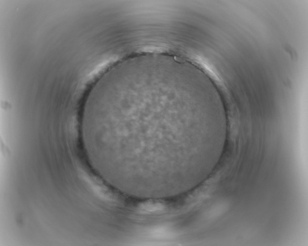 X0000091200354200708091311