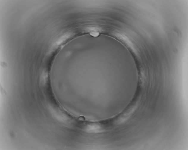 X0000091200355200708091311