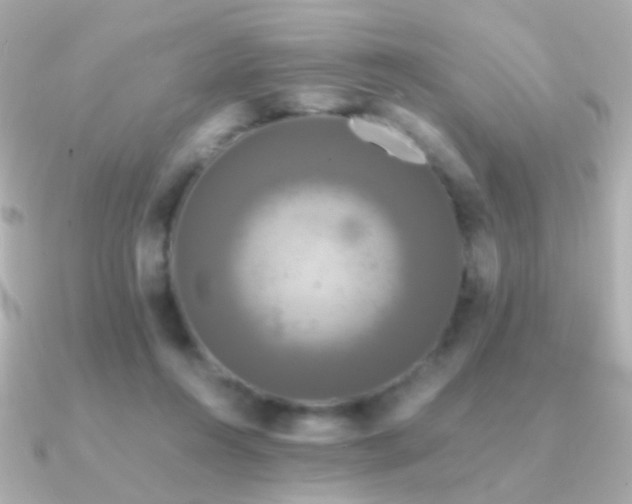 X0000091200360200708091311
