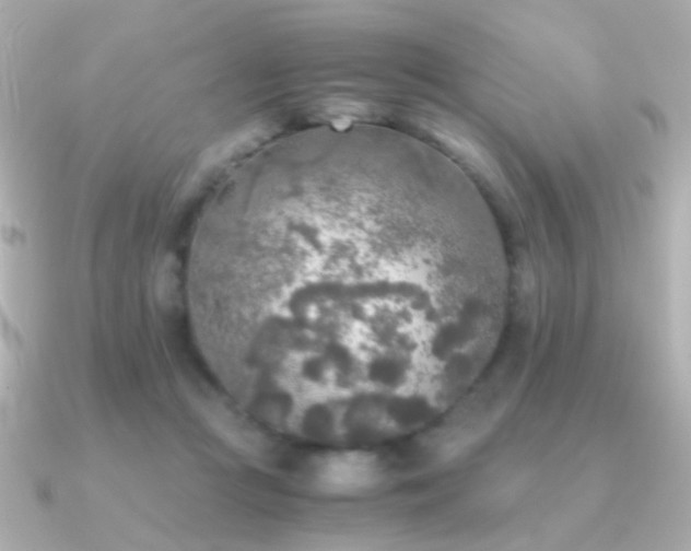 X0000091200361200708091311