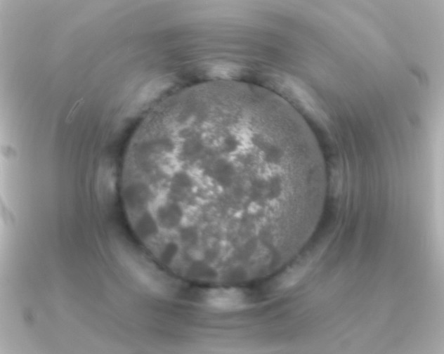 X0000091200363200708091311