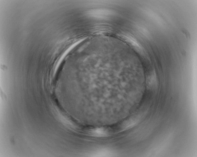 X0000091200365200708091311