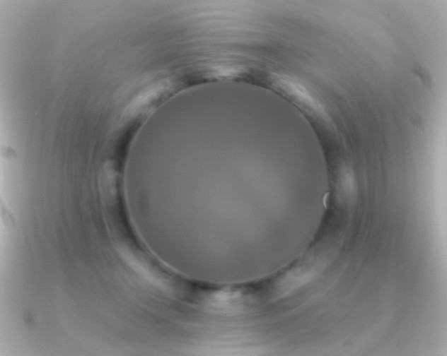 X0000091200366200708091311