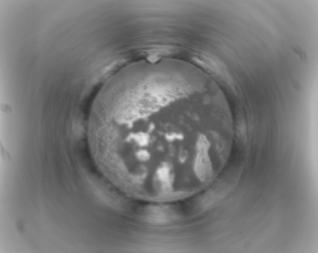 X0000091200367200708091311