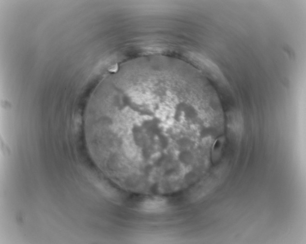 X0000091200369200708091311