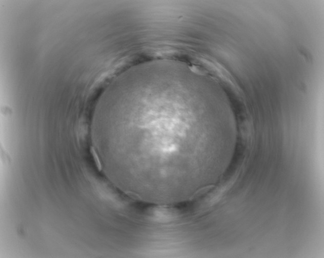 X0000091200372200708091311