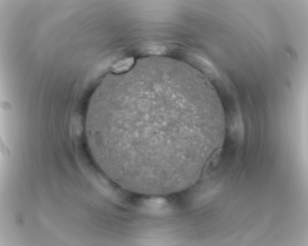 X0000091200374200708091311