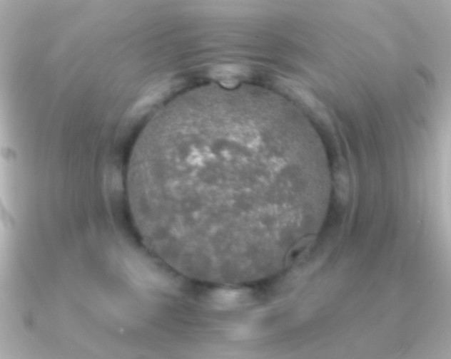 X0000091200375200708091311