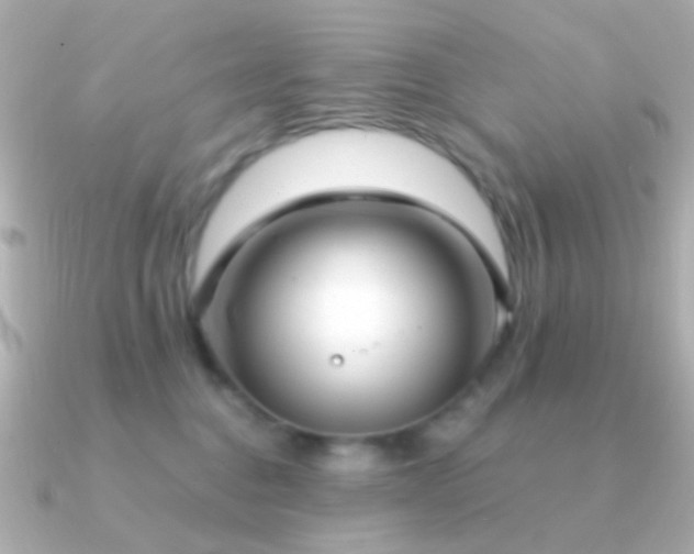 X0000091200376200708091311