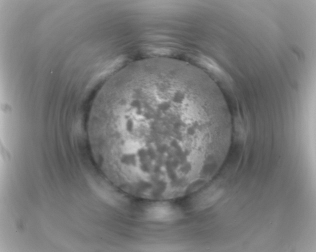 X0000091200377200708091311