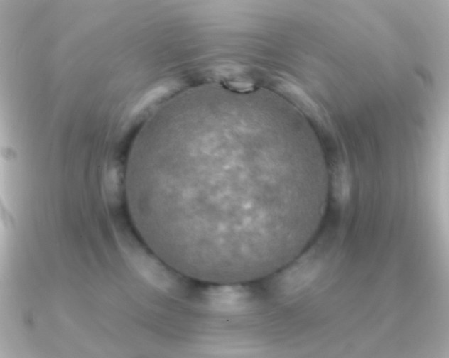 X0000091200378200708091311