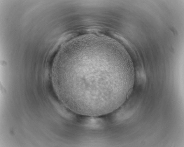 X0000091200379200708091311