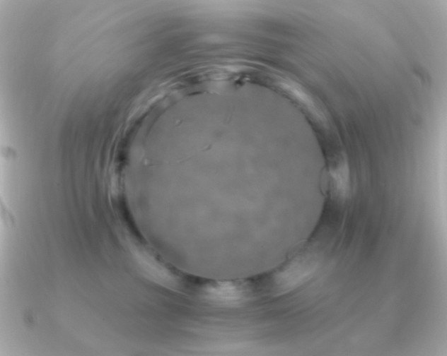 X0000091200381200708091311